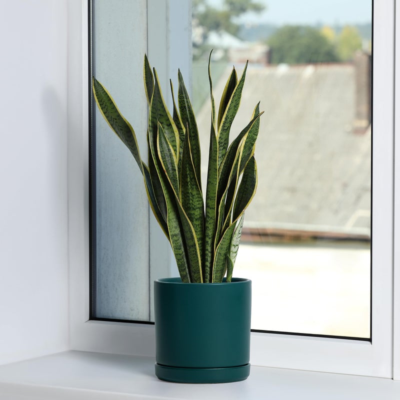 D'vine Dev 6 Inch Ceramic Planter Pot with Drainage Hole and Saucer, Indoor Cylinder Round Planter Pot, Teal, 94-O-C-9 - Image 5